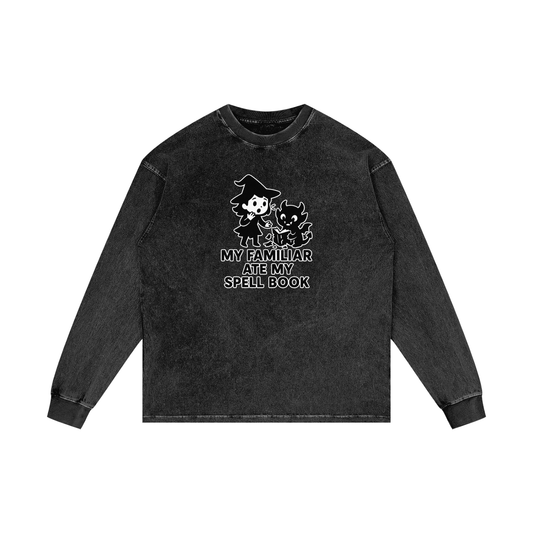 Familiar Ate the Spellbook – Witchy Chaos Acid Wash Long Sleeve